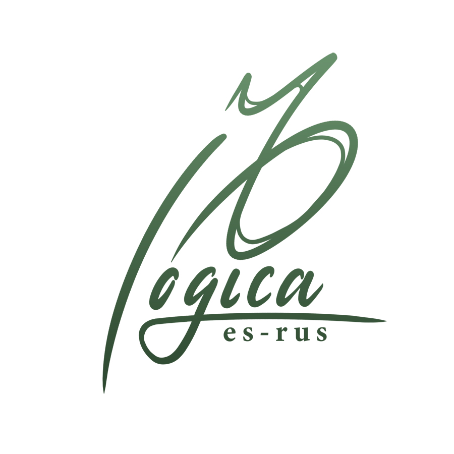 Logo LogicaEsRus wayself agencia de marketing digital