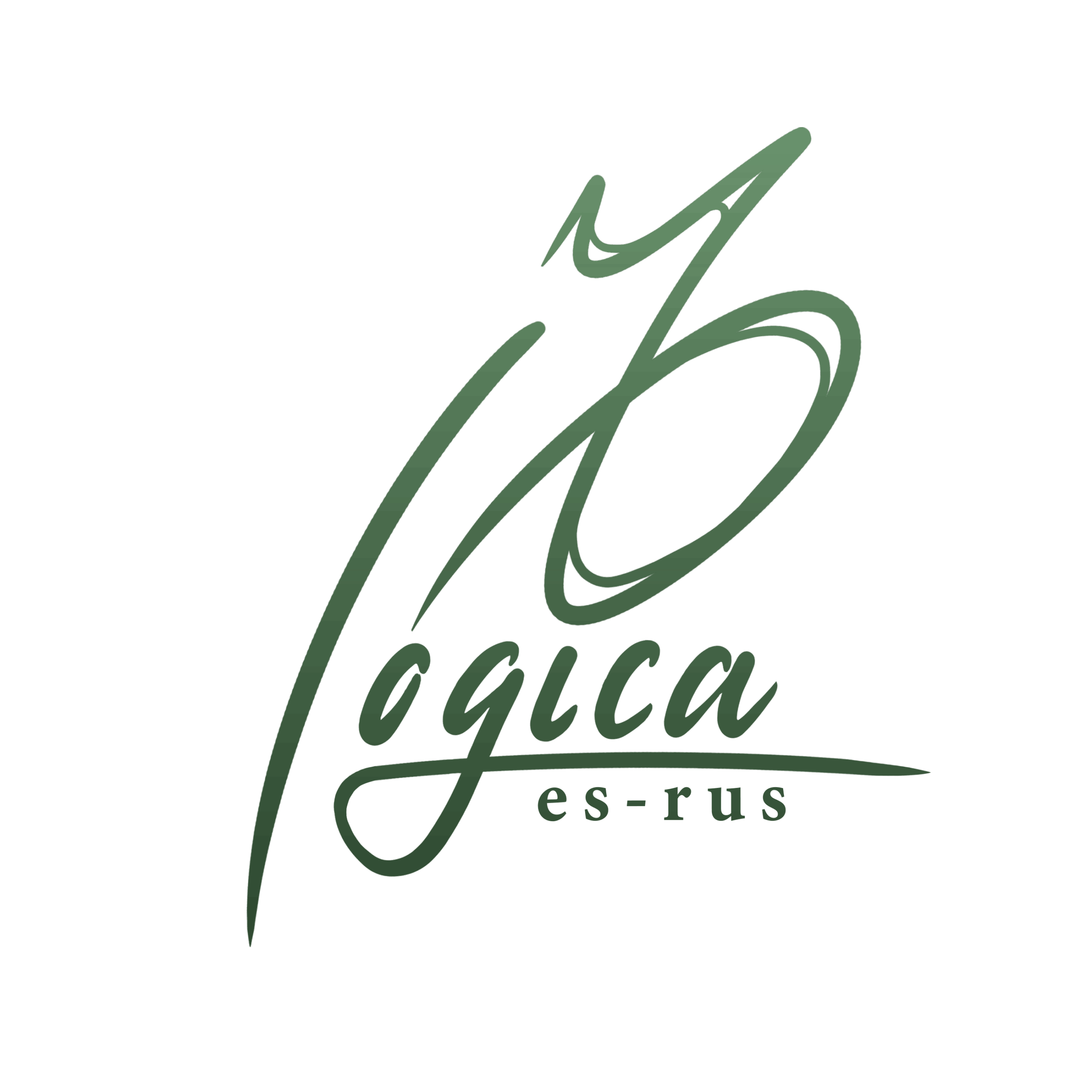 Logo LogicaEsRus wayself agencia de marketing digital