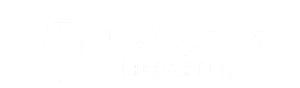 logo waysel