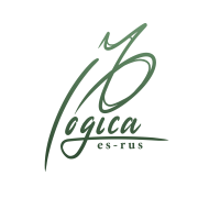Logo LogicaEsRus wayself agencia de marketing digital